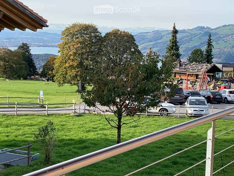 View from a balcony or terrace showing a grassy area with trees, parked cars, and a scenic mountain and lake view in the background.