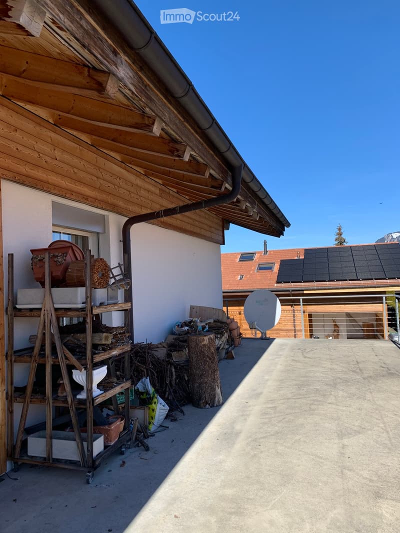 Roof terrace with wooden shelving, stacked firewood, a tree stump, and a satellite dish. Solar panels on the neighboring roof.