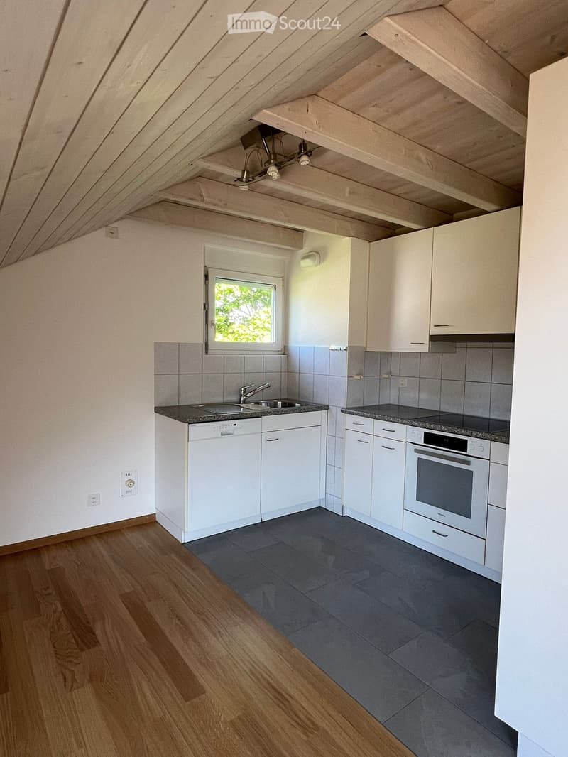 Modern kitchen with white cabinets, stainless steel sink, dishwasher, and oven. Wooden flooring and tiled backsplash.