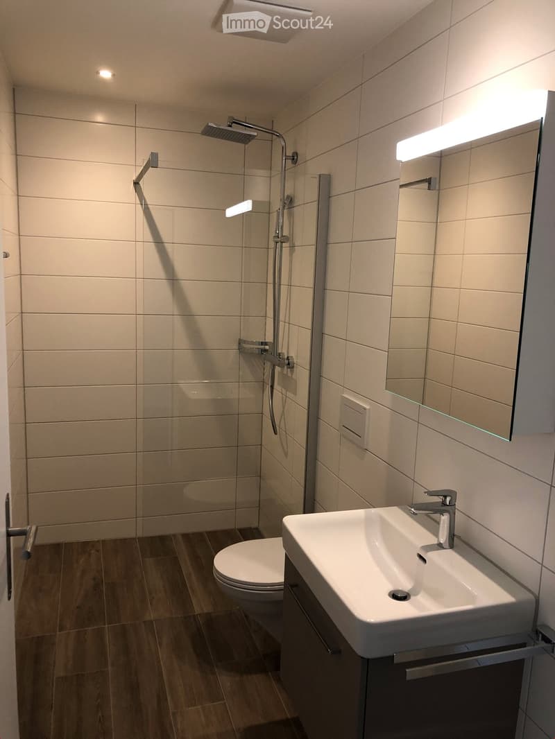 Modern bathroom with a white sink, chrome faucet, toilet, glass-enclosed shower, and built-in lighting.