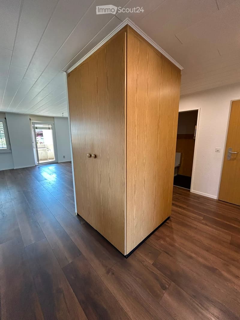 Empty hallway with wooden flooring, white walls, and a large wooden cabinet. Natural light streams in from a sliding glass door at the end of the hallway.