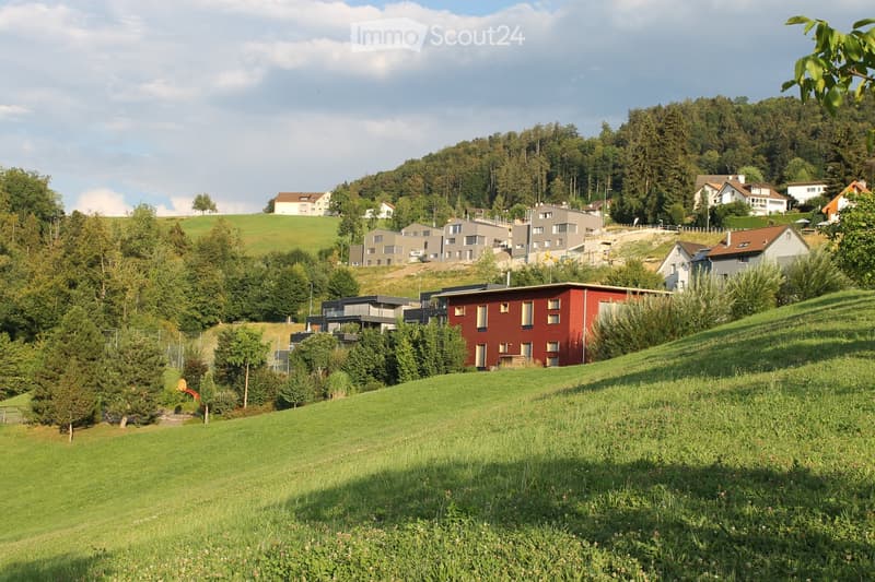 A residential area with modern houses on a hillside, surrounded by lush green trees and grass.