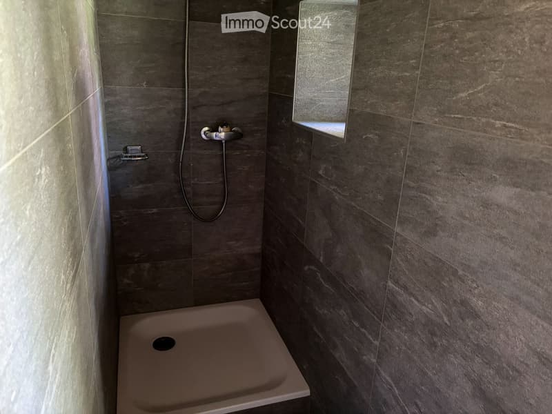 Modern bathroom with dark tiled walls, a bathtub, a handheld showerhead, and a small mirror above the tub.