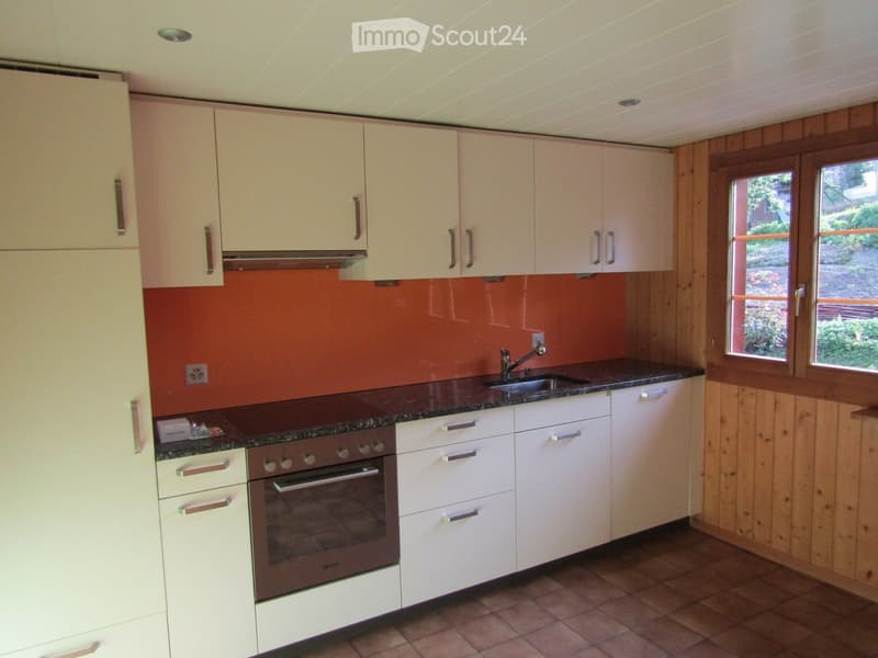 Modern kitchen with white cabinets, granite countertop, built-in oven, and sink. Features wooden walls and large windows overlooking a garden.