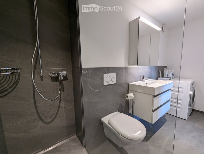 Modern bathroom with a glass-enclosed shower, toilet, sink with a mirrored cabinet, and a washing machine. Features include a towel rack, a light switch, and sleek, contemporary design.
