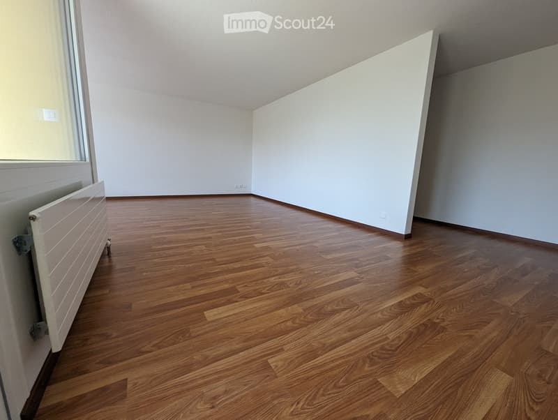 Empty room with wooden flooring, white walls, and a radiator on the left side.
