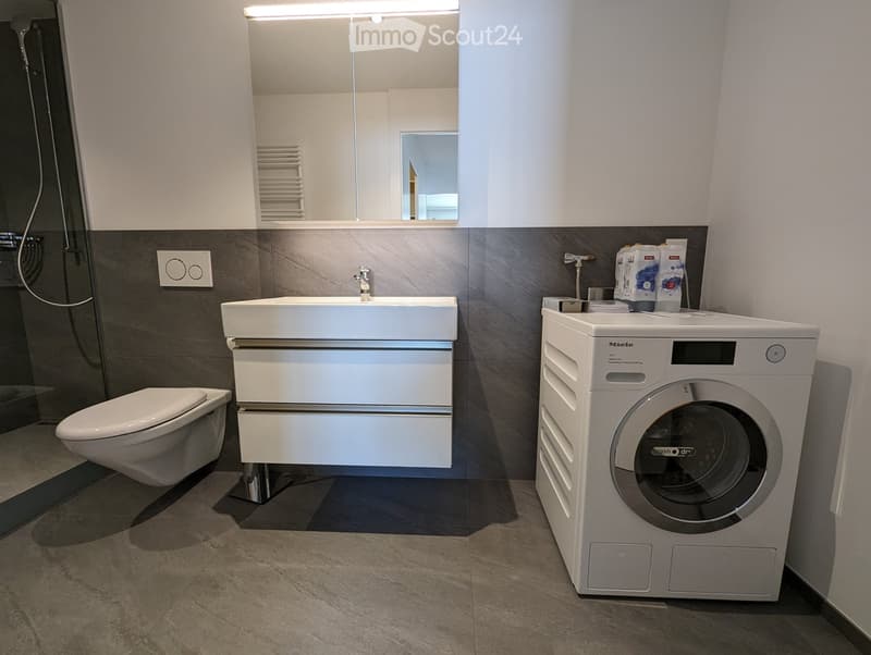Modern bathroom with a white sink, toilet, large mirror, and a private washing machine. Grey tiled walls and a tiled floor.