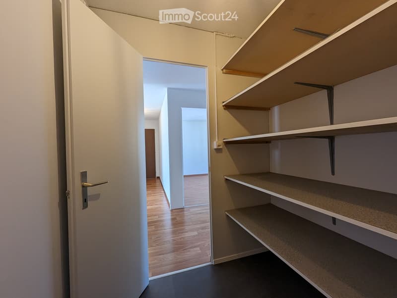 Empty closet with multiple shelves and a partially open door leading to a hallway with wooden flooring.