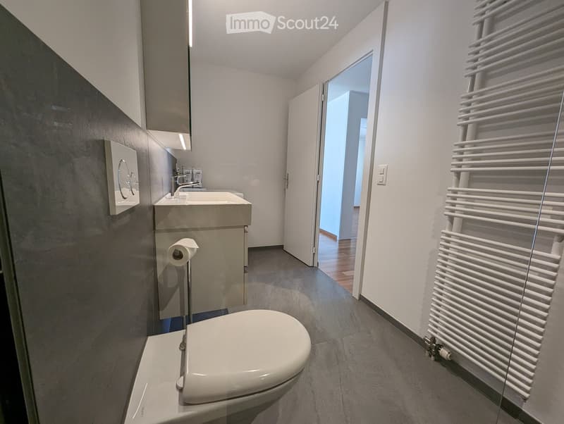 Modern bathroom with a toilet, sink, faucet, radiator, and a mirror. The room features grey tiled walls and a grey tiled floor.