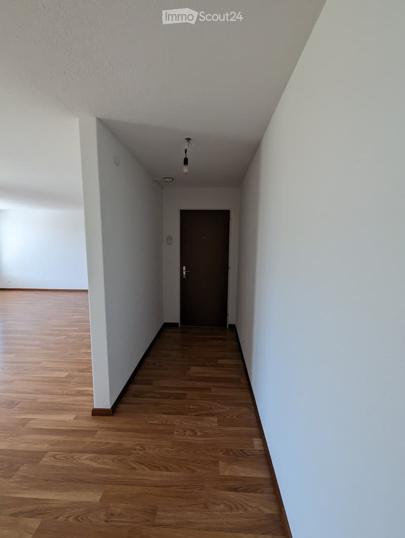 Empty hallway with wooden flooring, white walls, and a single door at the end.