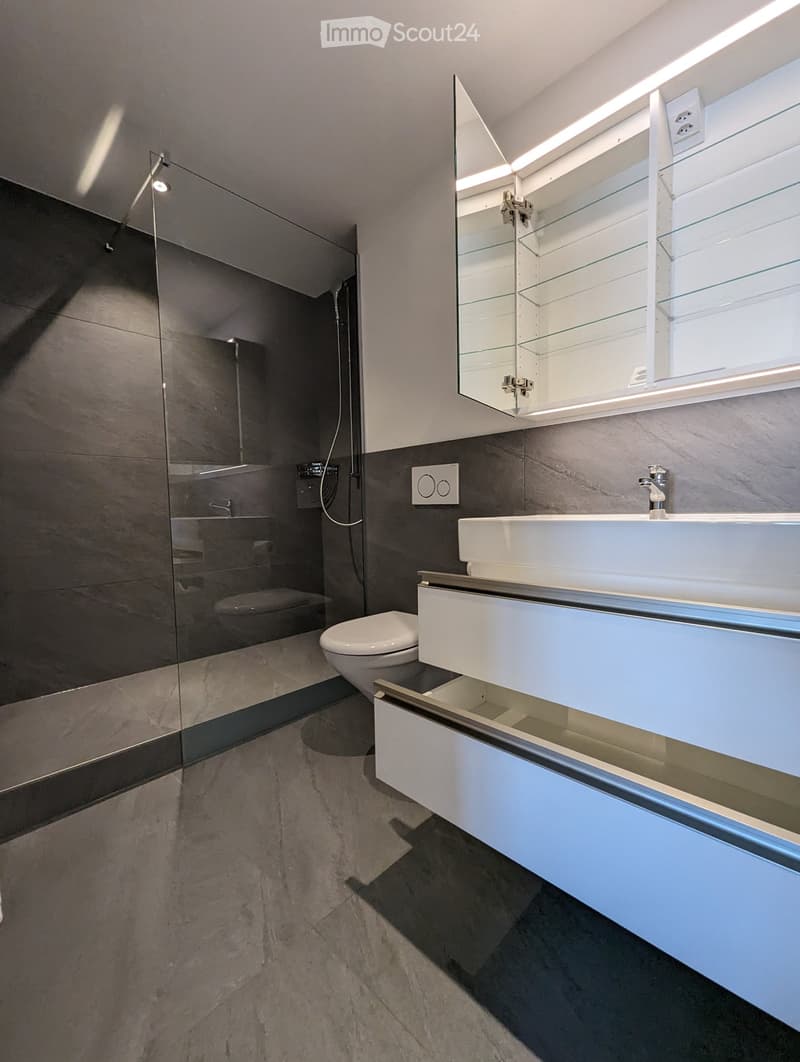 Modern bathroom with a white sink, toilet, mirrored cabinet, and glass shower enclosure.
