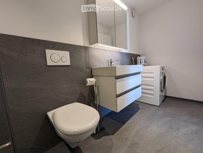 Modern bathroom with a toilet, sink, mirror, cabinet, and a private washing machine. Features include a sleek design with grey tiles and white fixtures.