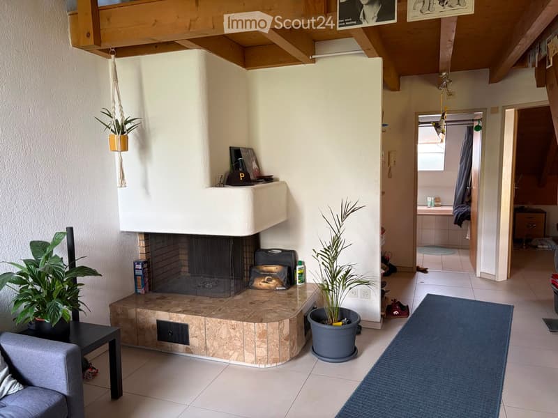 Living room with a fireplace, sofa, small table, potted plants, and a mirror on the wall. A hallway leads to a bathroom with a sink and mirror.