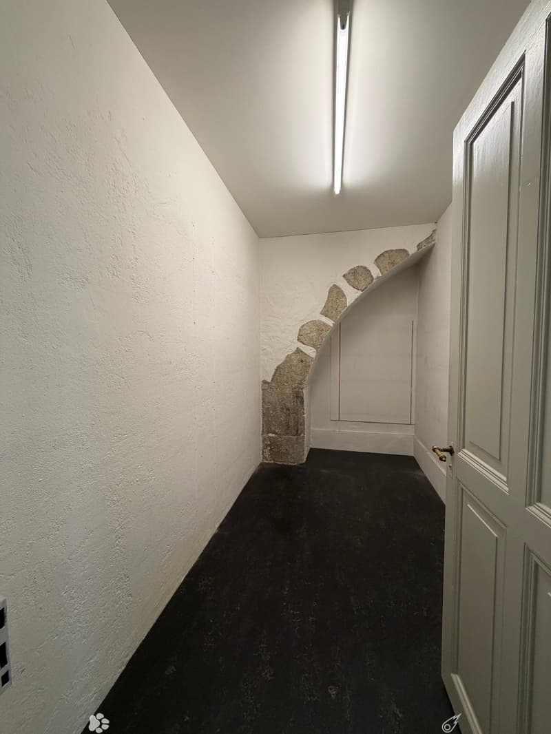 Narrow hallway with white walls, black carpet, and a partially visible door at the end.