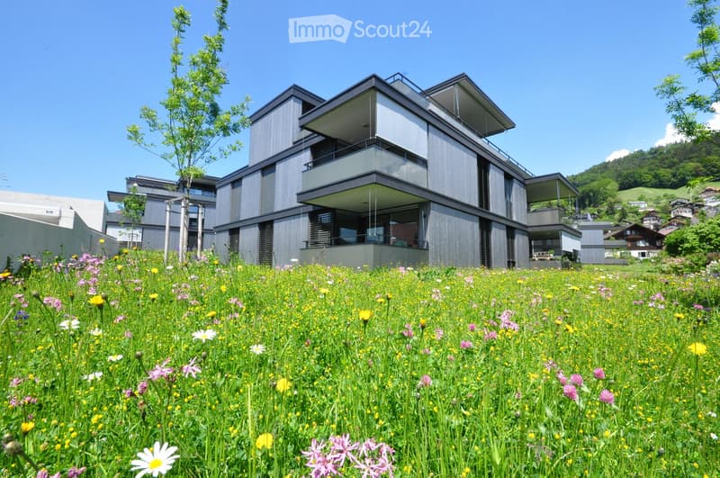 Modern two-story house with grey facade, large windows, and balconies, surrounded by a field of wildflowers and trees.