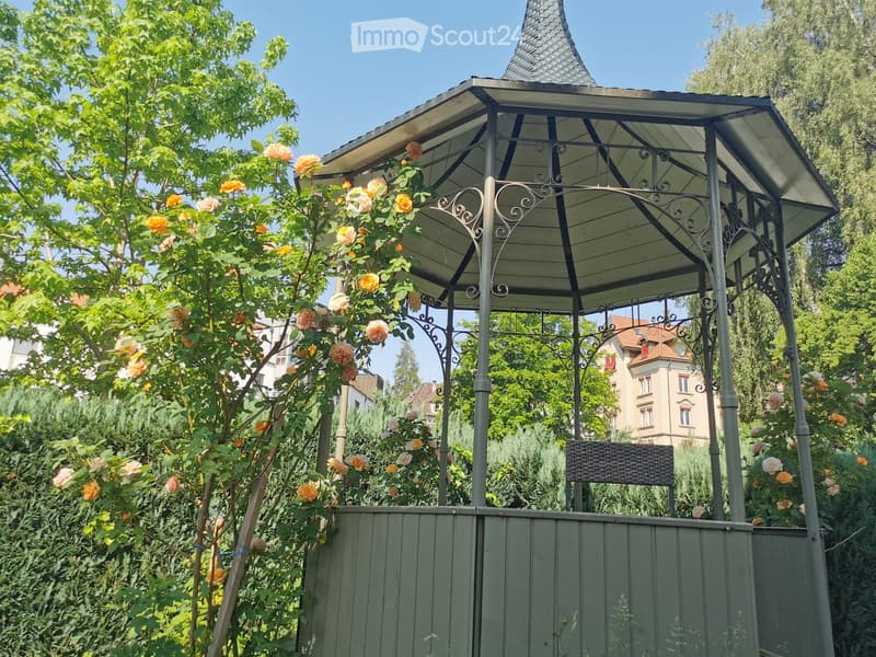 A garden area with a gazebo, surrounded by lush greenery and blooming roses, with a wooden fence and a bench under the gazebo.