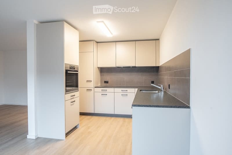Modern kitchen with white cabinets, wooden flooring, and grey tiled backsplash. Features include a sink, faucet, and built-in oven.