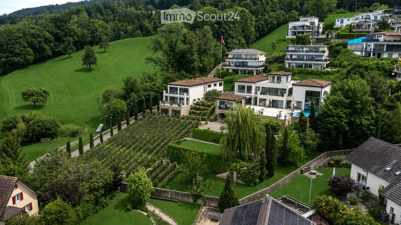 Aerial view of a lush, green residential area with multiple modern houses, manicured lawns, trees, and a swimming pool in the foreground.