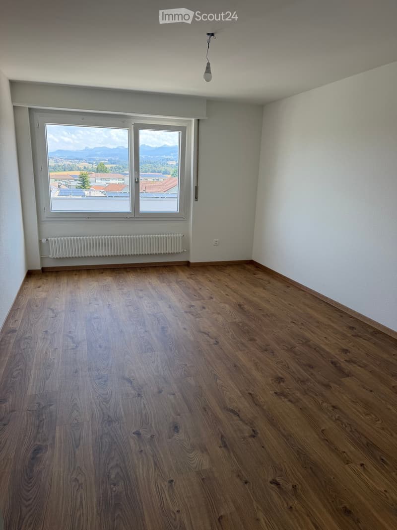 Empty room with wooden flooring, white walls, large window with view, radiator, and ceiling light fixture.