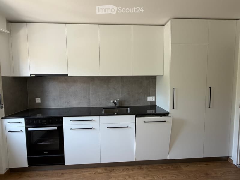 Modern kitchen with white cabinets, black countertop, stainless steel sink, oven, and dishwasher.