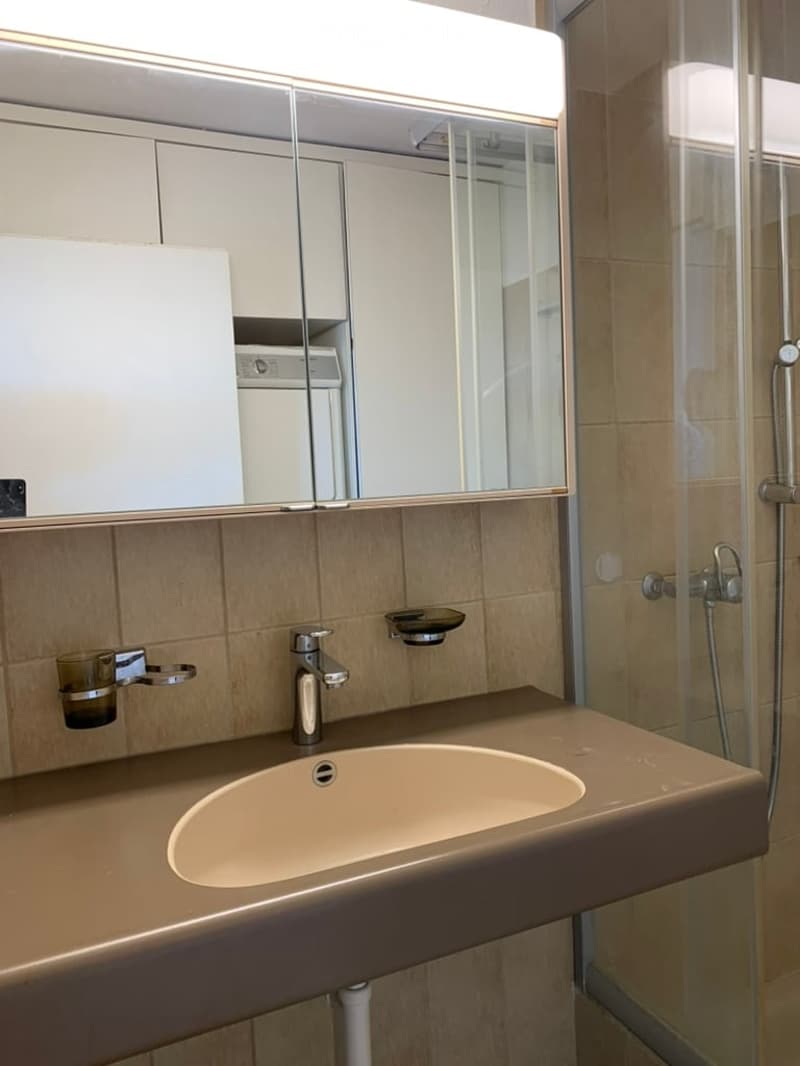 Modern bathroom with a beige sink, chrome faucet, mirrored cabinet, and glass-enclosed shower area.