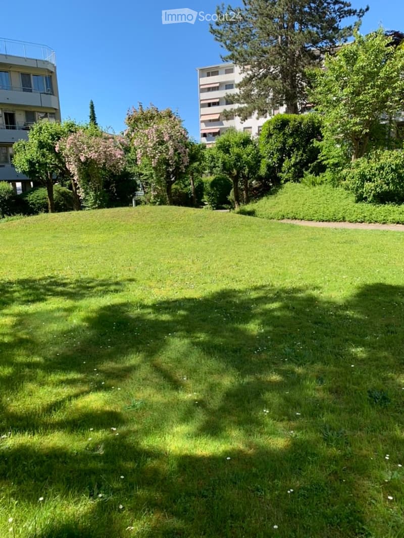 Well-maintained lawn with scattered small white flowers, surrounded by trees and shrubs, with apartment buildings visible in the background.