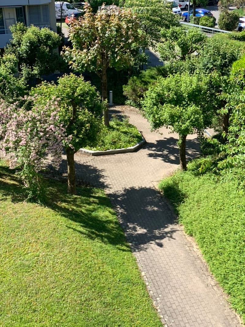 A well-maintained garden area with a paved pathway, trees, and shrubs. The pathway is surrounded by green grass and leads towards a building in the background.