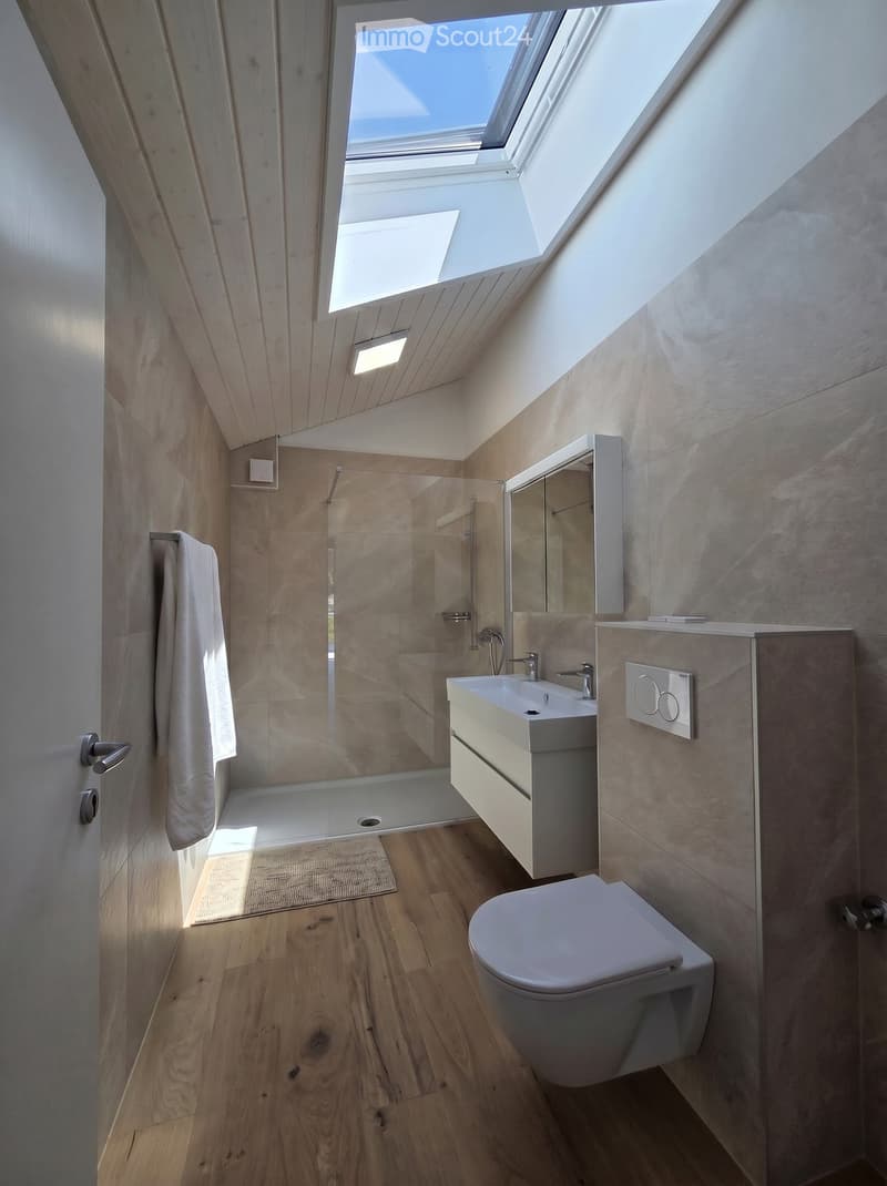 Modern bathroom with wooden flooring, a white sink, toilet, mirror, and a glass-enclosed shower area. Natural light streams in through a skylight window.
