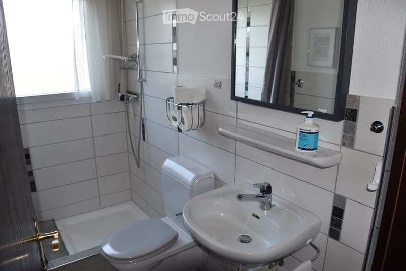 Modern bathroom with white tiles, a toilet, a sink with a chrome faucet, a shower area, a mirror, and a toilet paper holder. A soap dispenser is placed on a shelf above the sink.