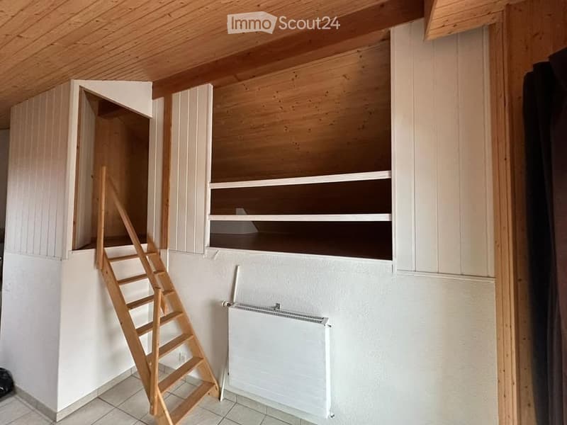 wooden ceiling, tiled floor, wooden ladder, radiator, shelves, built-in cabinets, partially opened wardrobe