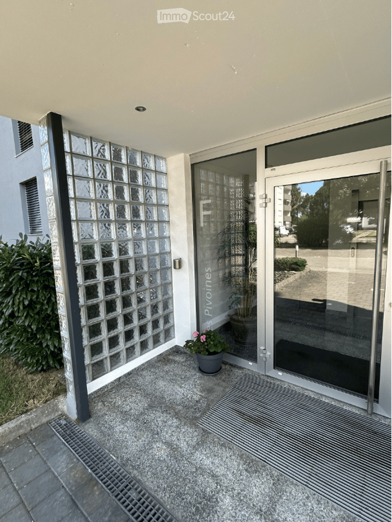 Entrance area with glass block wall, glass doors, potted plant, and a small flower pot on the ground.