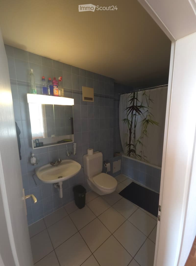 Bathroom with blue tiled walls, a sink, toilet, mirror, bathtub, and a shower curtain with a bamboo design.