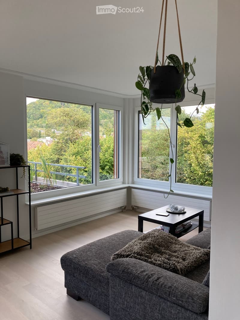 Modern living room with large windows offering a scenic view, a grey sofa, a coffee table, a hanging plant, and a small shelf.