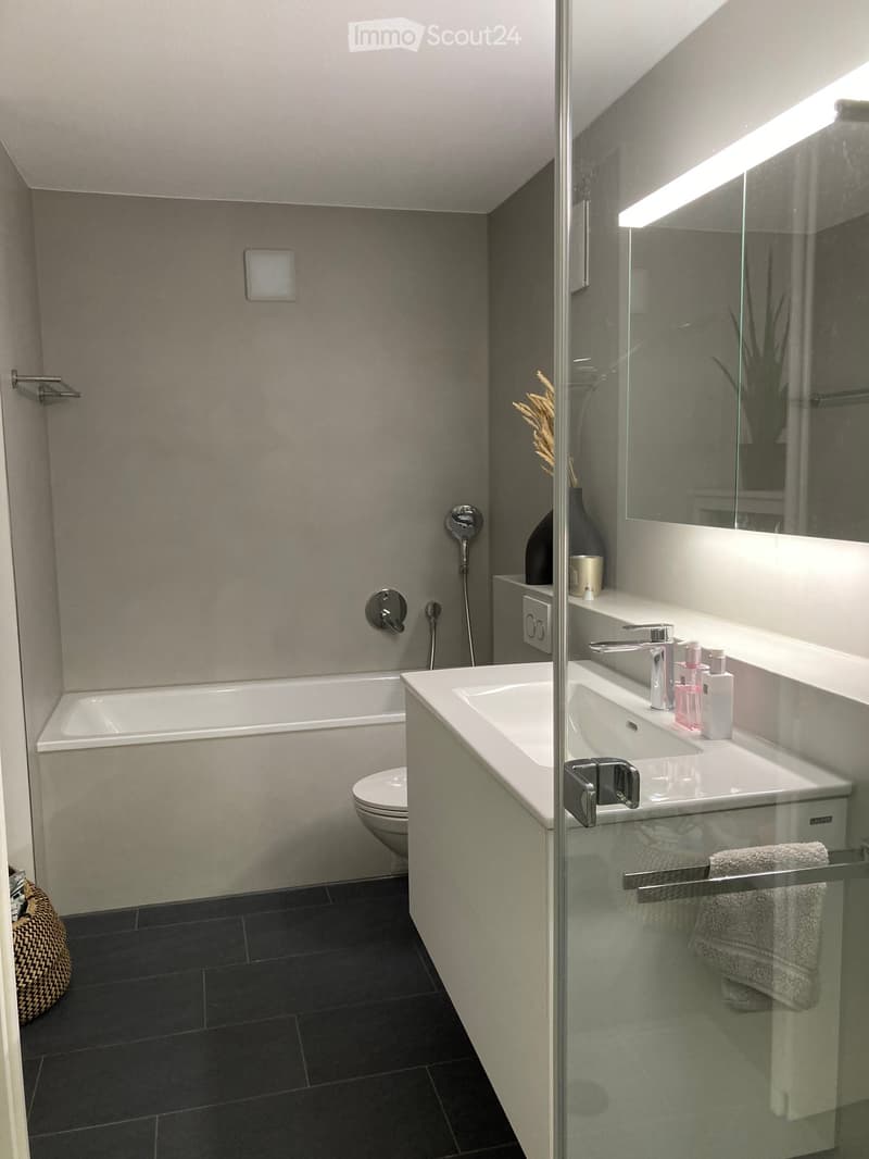 Modern bathroom with a bathtub, toilet, double sink, and a glass-enclosed shower area. Features dark tiles, a large mirror, and decorative items on the sink counter.