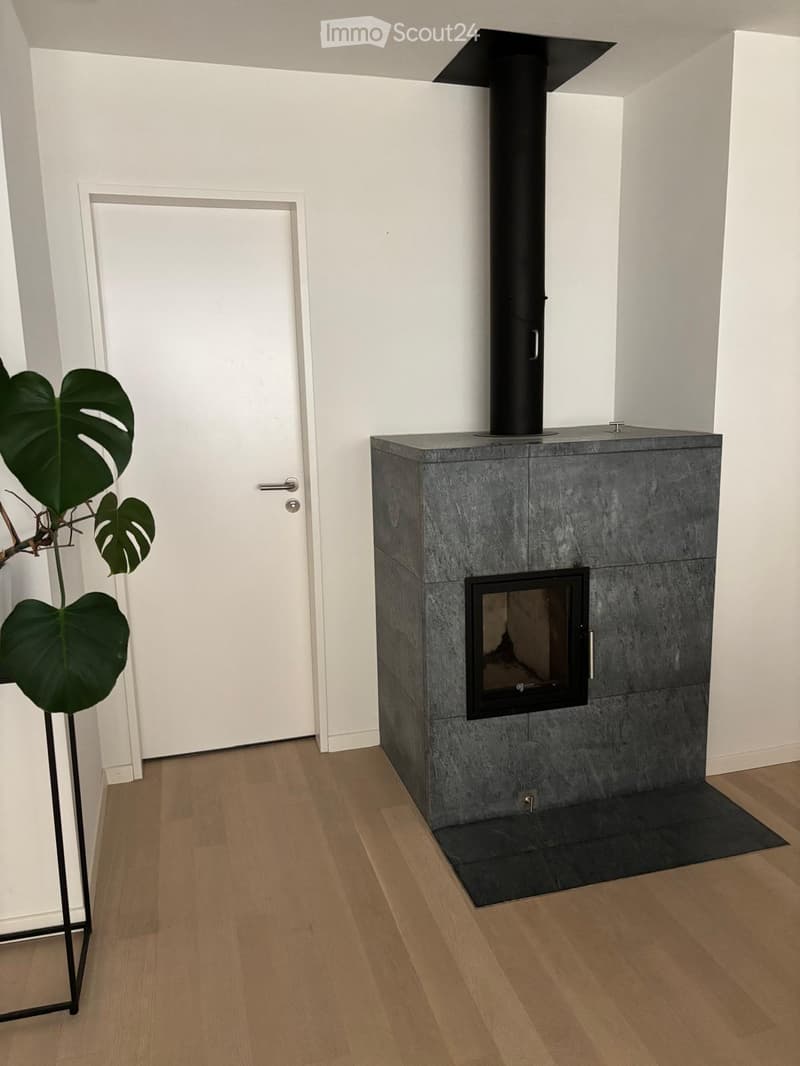 Modern room with a sleek, grey stone fireplace and a tall leafy plant in a black stand. The floor is light wooden, and the walls are white.