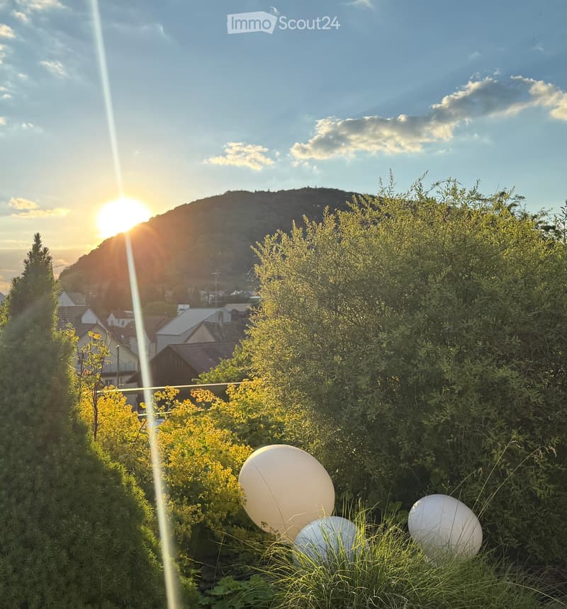 Garden with lush greenery, spherical white lights, and a view of a town and hill in the background during sunset.