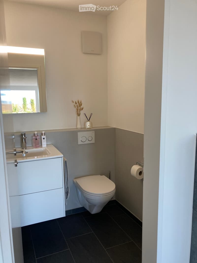 Modern bathroom with white walls, dark tiled floor, sink with faucet, toilet, mirror, towel, and decorative items on the windowsill.