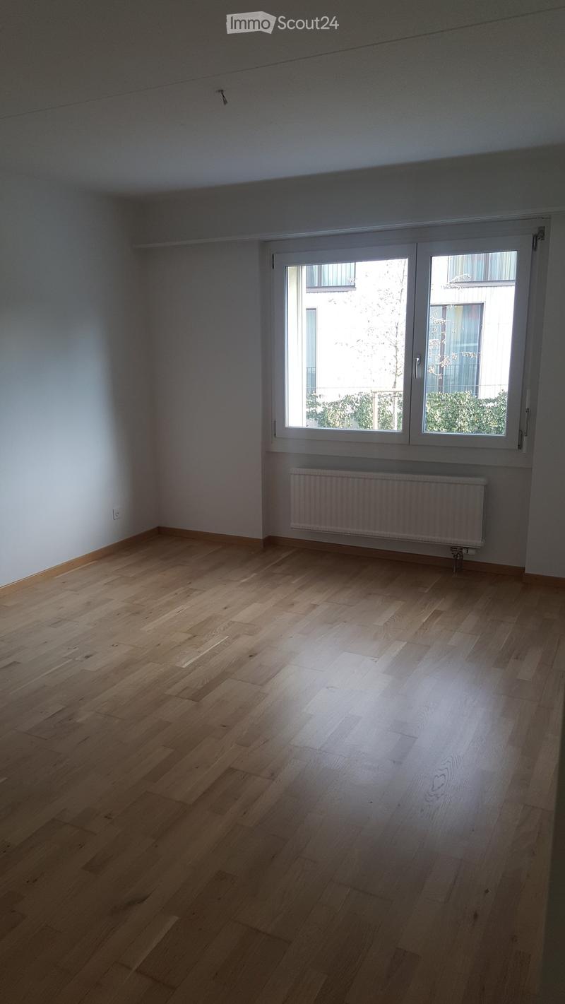 Empty room with white walls, hardwood floors, white radiator, white outlet, window