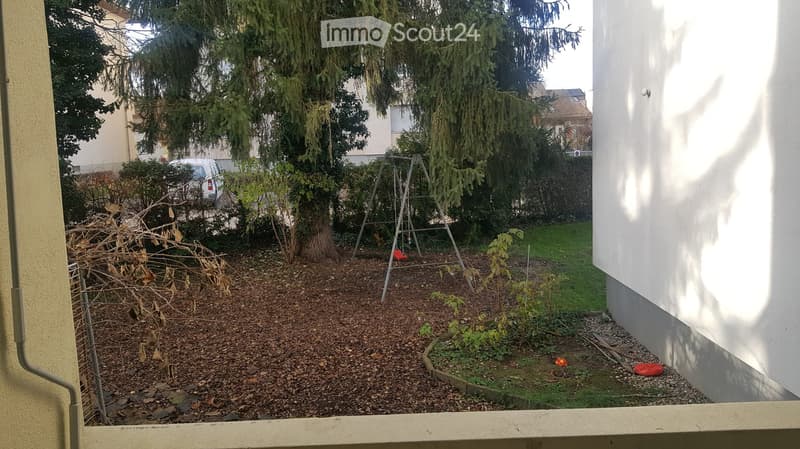 small backyard, metal swing, fallen leaves, grass patch, trees, bushes, car parked in the street
