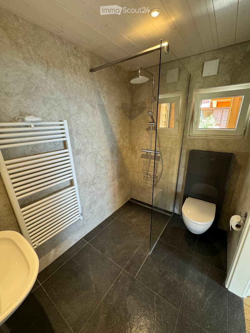 Modern bathroom with dark tiled floor, white radiator, glass-enclosed shower, toilet, and sink.
