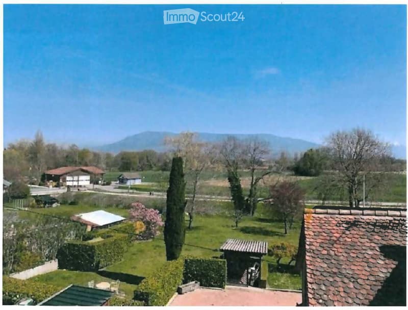 A peaceful garden with a view of the countryside and distant mountains, featuring a tall cypress tree, neatly trimmed hedges, and scattered trees.