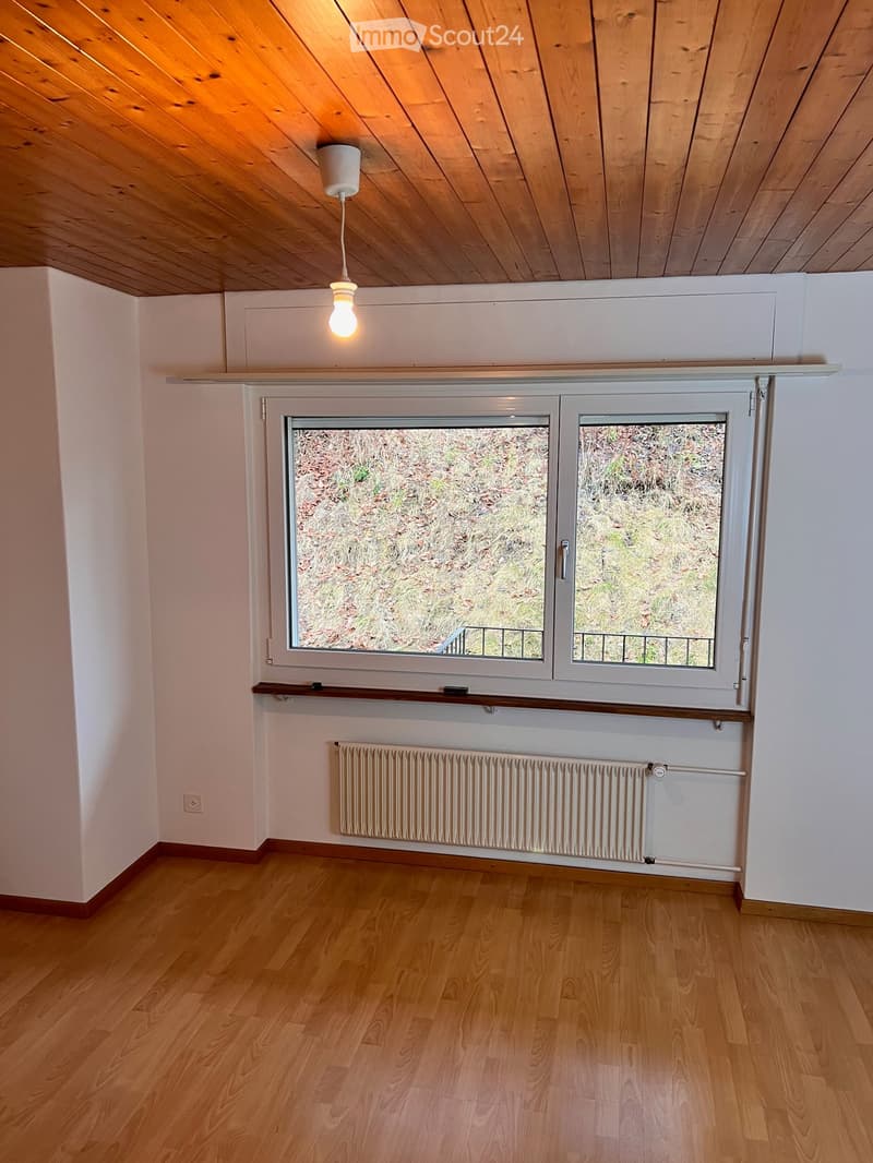 Empty room with wooden flooring, white walls, large window with view of outdoor area, radiator, and hanging light fixture.