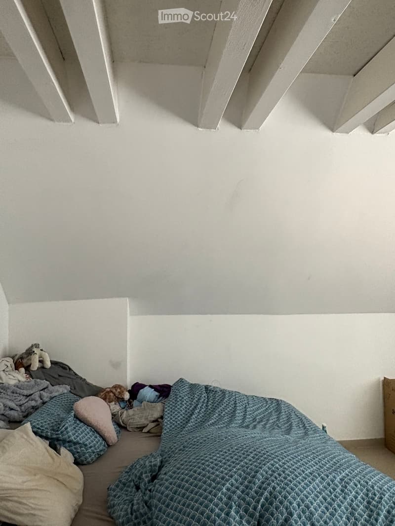 A small bedroom with a bed covered in blue and grey blankets and pillows, a stuffed animal, and a small dog resting on the bed.