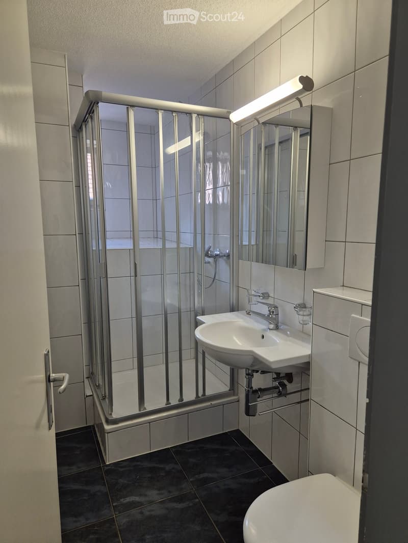 Modern bathroom with white tiles, a glass-enclosed shower, a white sink with a modern faucet, a mirror, and a toilet. The shower has a sleek, silver frame and a built-in seat.