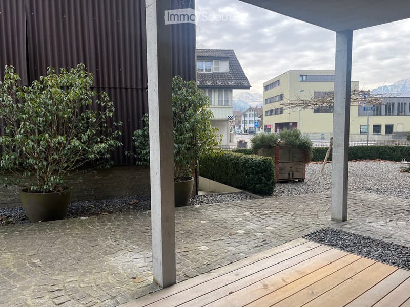 A paved outdoor area with a wooden deck, potted plants, and a view of surrounding buildings and mountains.