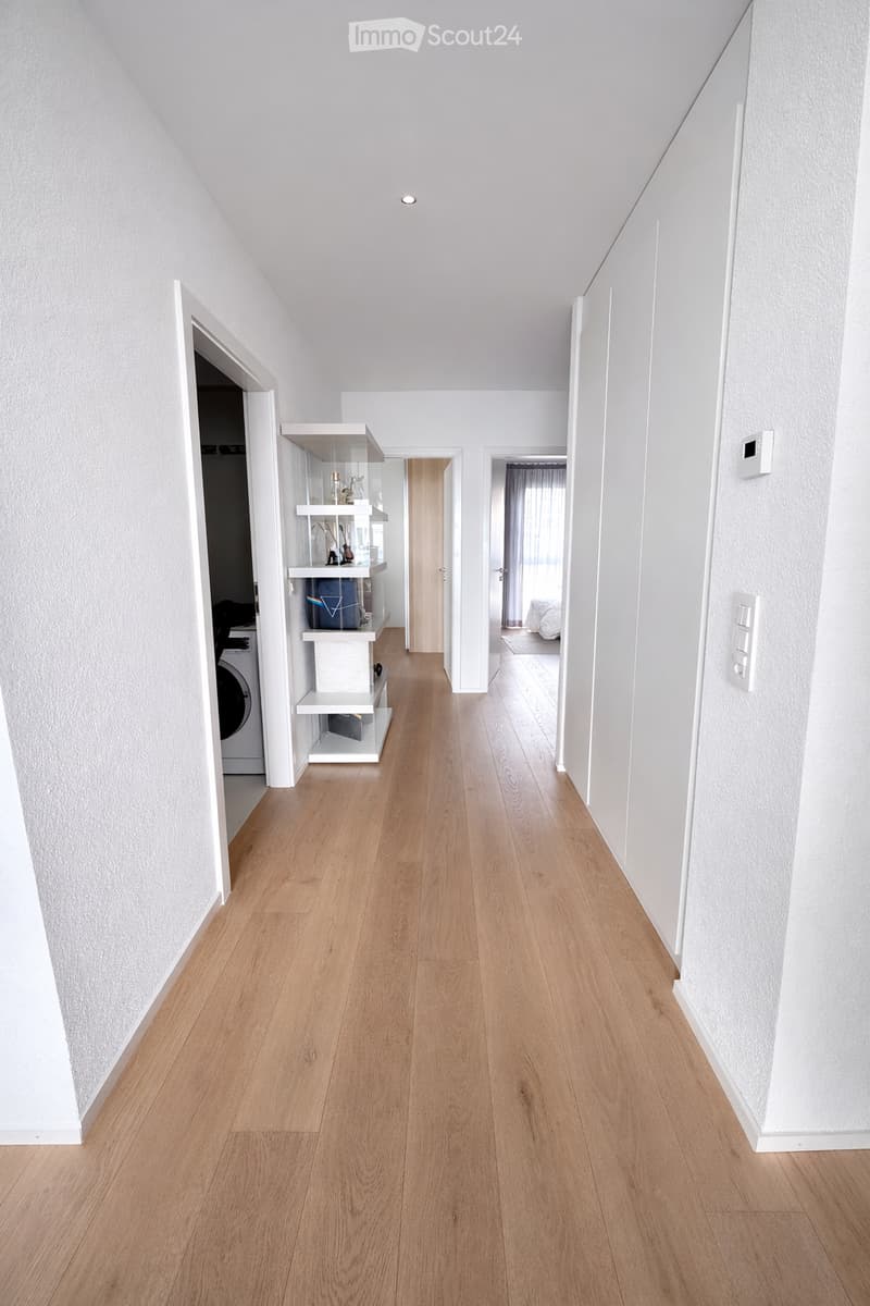 Bright hallway with light wooden flooring, white walls, and recessed ceiling lighting. Features a built-in white shelving unit with decorative items and a washing machine visible in an adjacent room.