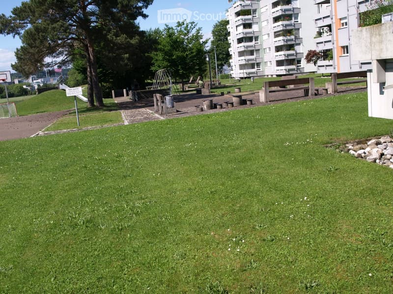 Large grassy area with concrete pathway, several trees, and wooden benches in a community.