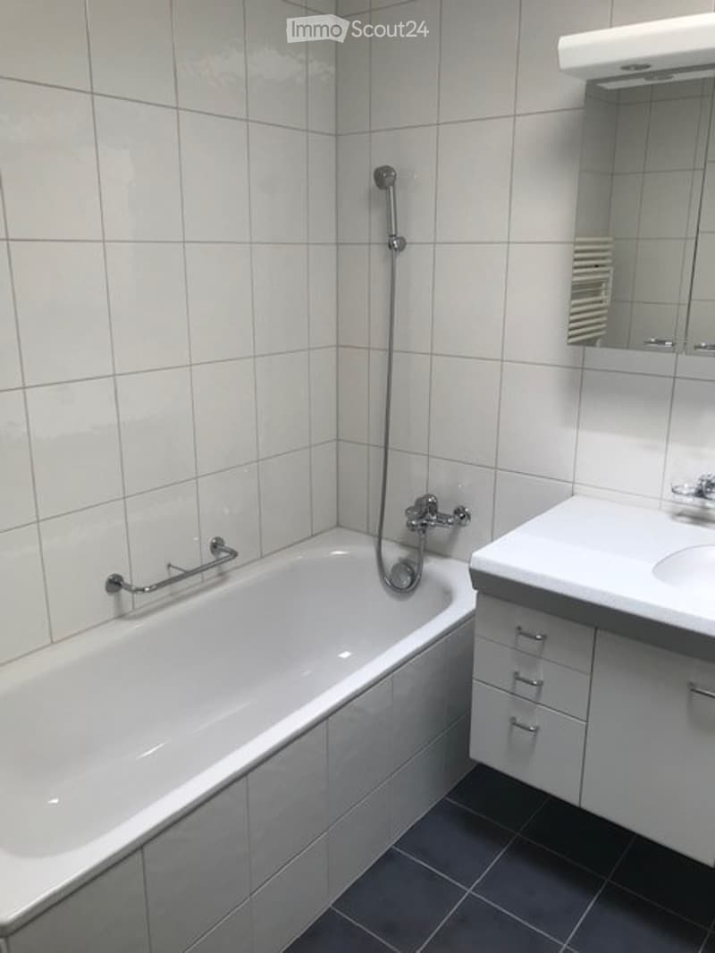Modern bathroom with white tiled walls, a bathtub with a handheld shower, a sink with a cabinet, and a mirror above the sink.
