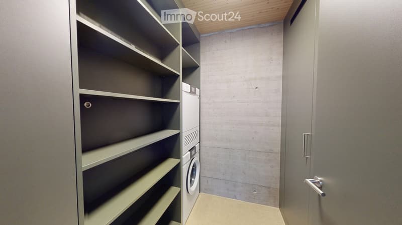 Empty room with built-in shelving units and a private washing machine, featuring a concrete wall and wooden ceiling.
