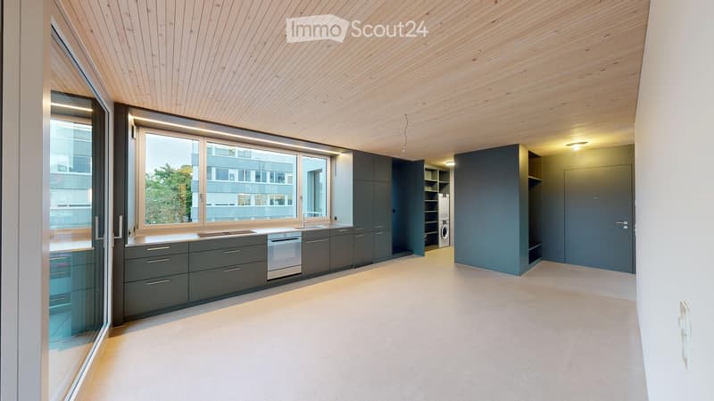 Modern kitchen with dark grey cabinets, a large window, and a dishwasher. The space features a sleek, minimalist design with a light-colored floor and a wooden ceiling.